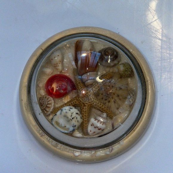 Vintage Accents Vintage Seashell Glass Paperweight Poshmark